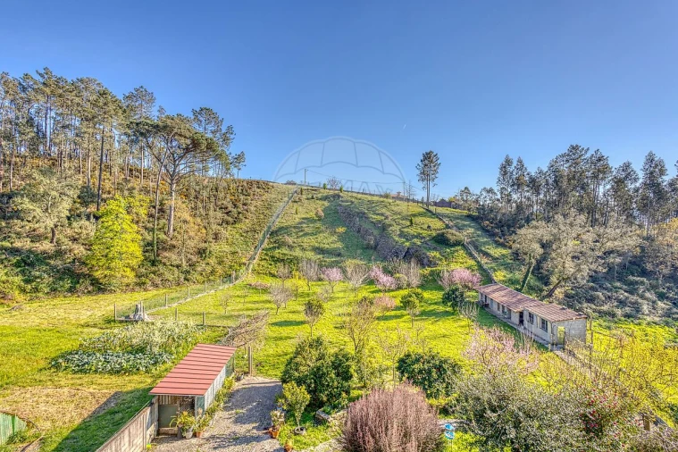 Moradia T3 para Venda em Melres e Medas Foto 30