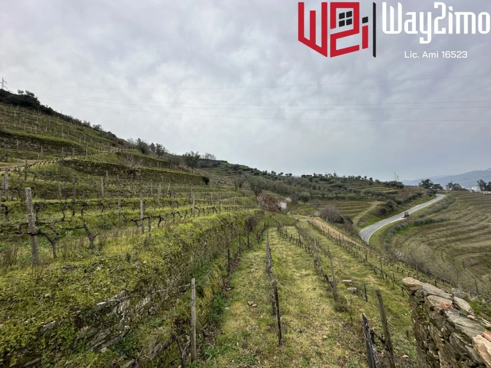 Moradia para Venda em Samodães Foto 14