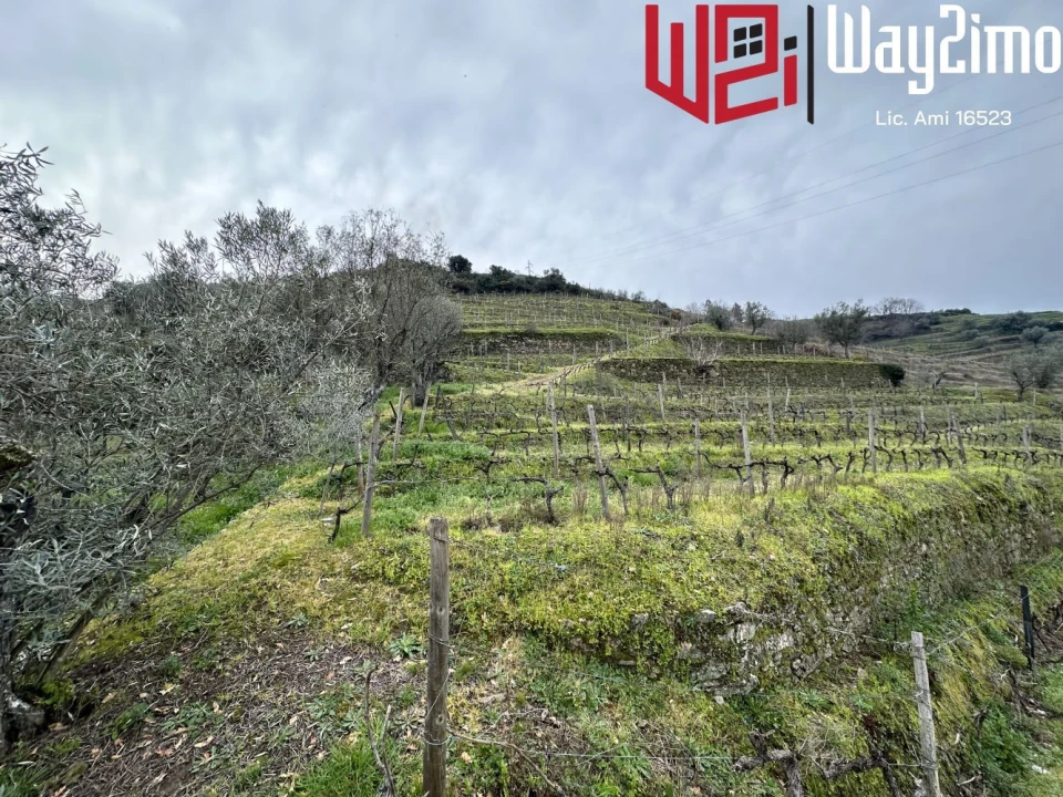 Moradia para Venda em Samodães Foto 2