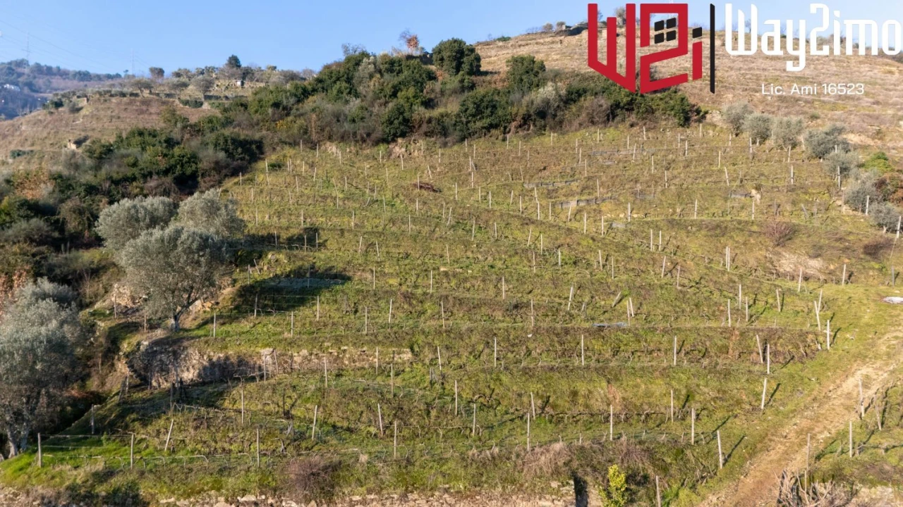 Moradia para Venda em Samodães Foto 36