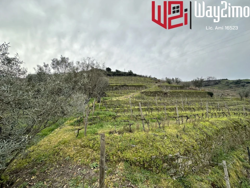 Moradia para Venda em Samodães Foto 9