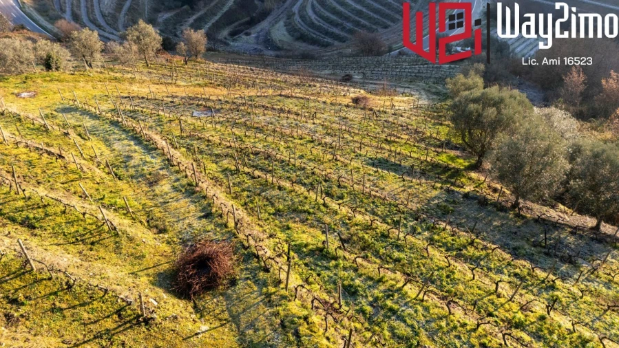 Moradia para Venda em Samodães Foto 29