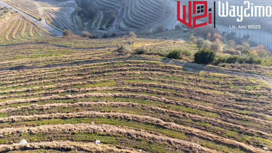 Moradia para Venda em Samodães Foto 30