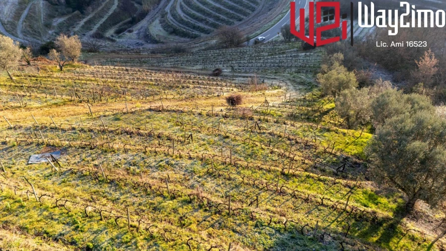 Moradia para Venda em Samodães Foto 31