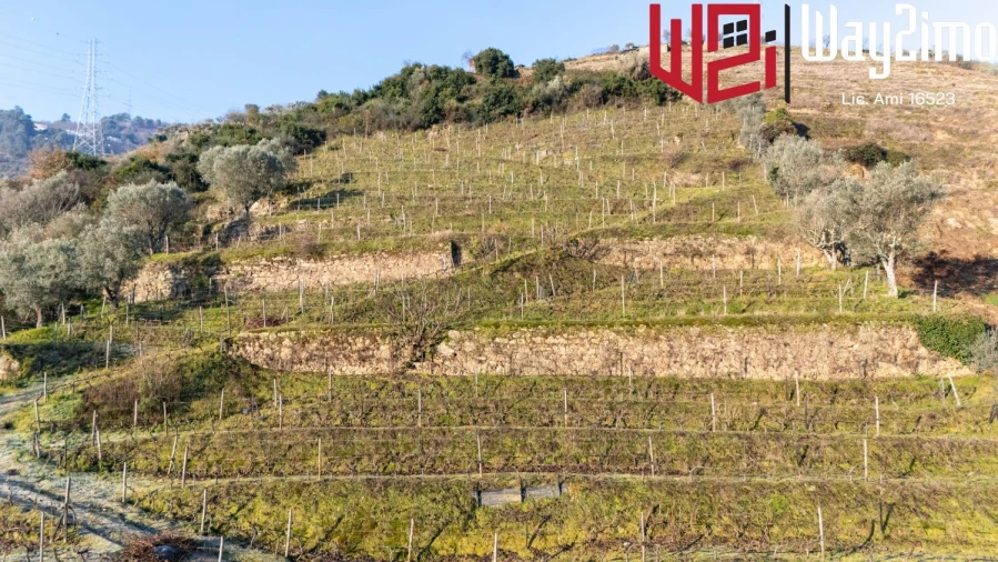 Moradia para Venda em Samodães Foto 34