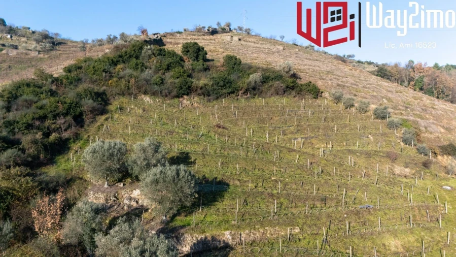 Moradia para Venda em Samodães Foto 41