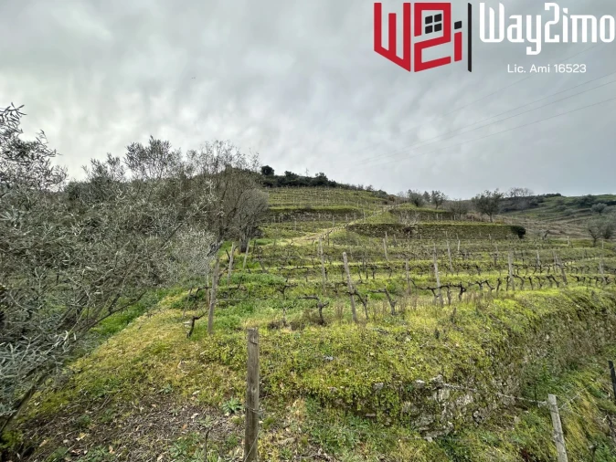 Moradia para Venda em Samodães Foto 9