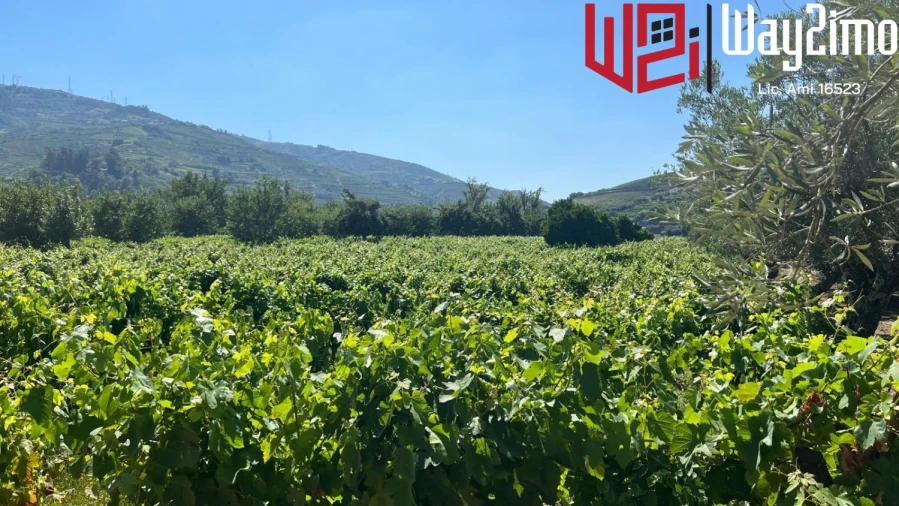 Moradia para Venda em Cambres Foto 20