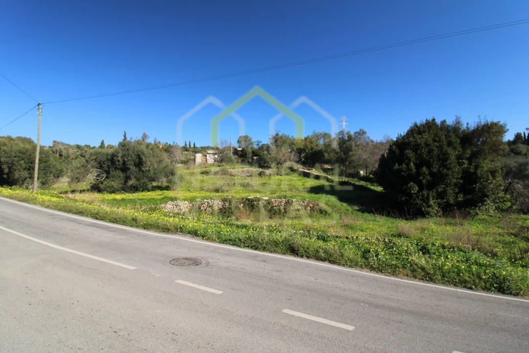 Terreno Misto para Venda em Conceição e Estoi Foto 11