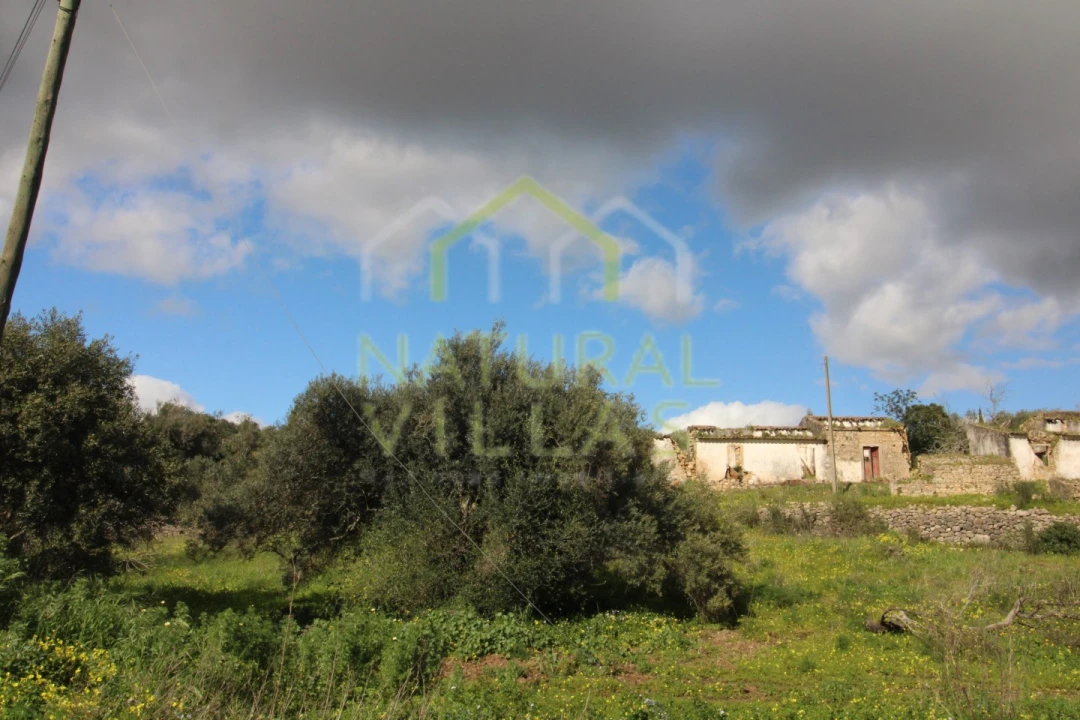 Terreno Misto para Venda em Conceição e Estoi Foto 8