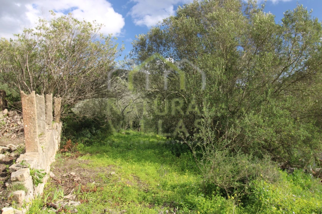 Terreno Misto para Venda em Conceição e Estoi Foto 13