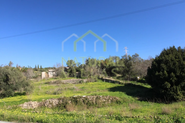 Terreno Misto para Venda em Conceição e Estoi Foto 9