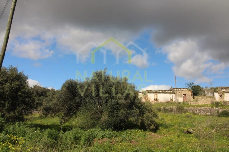 Terreno Misto para Venda em Conceição e Estoi Foto 8