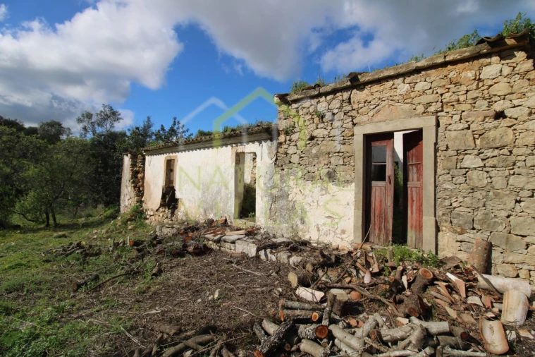 Terreno Misto para Venda em Conceição e Estoi Foto 3