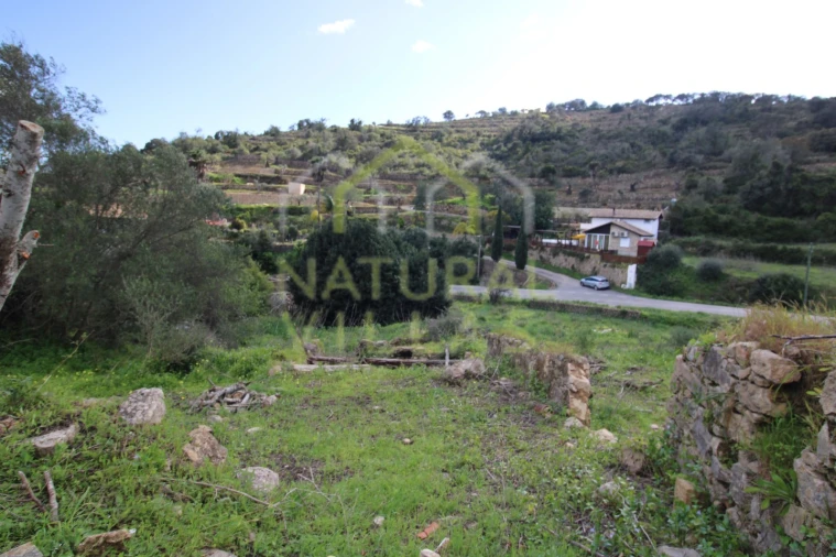 Terreno Misto para Venda em Conceição e Estoi Foto 10