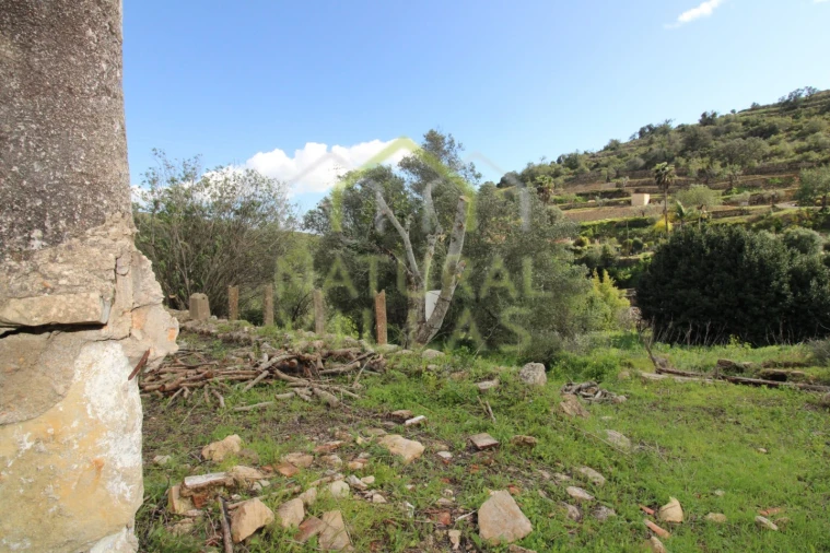 Terreno Misto para Venda em Conceição e Estoi Foto 12