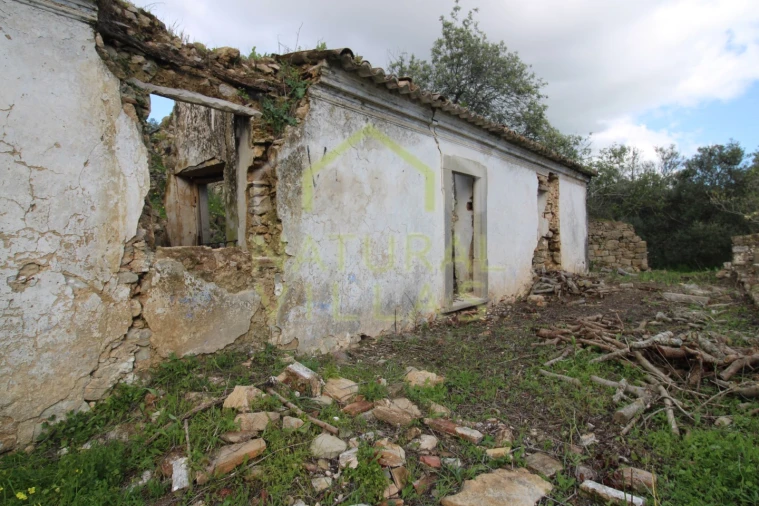 Terreno Misto para Venda em Conceição e Estoi Foto 5