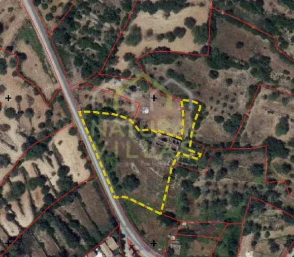 Terreno Misto para Venda em Conceição e Estoi Foto 15