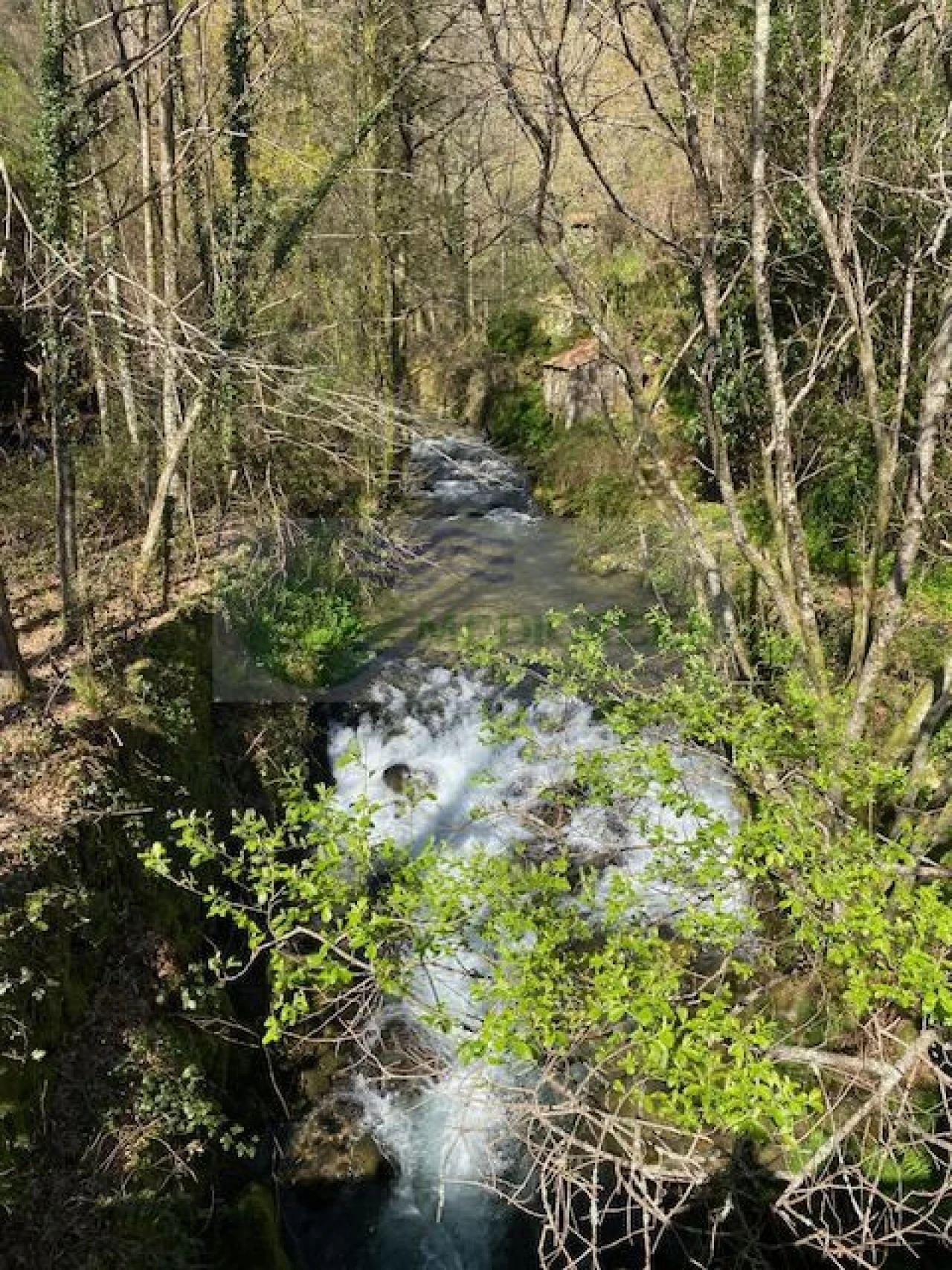 Terreno para Venda em Couto de Esteves Foto 5