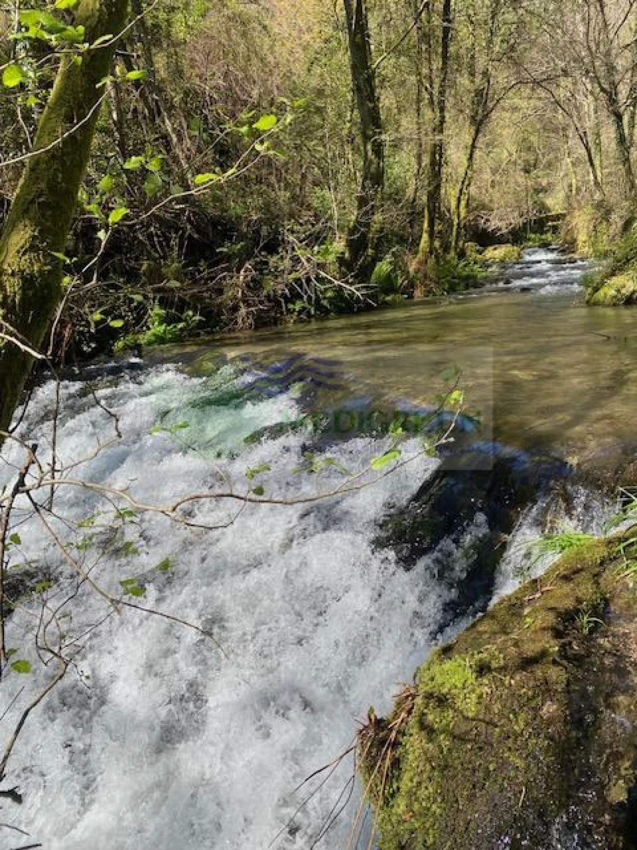 Terreno para Venda em Couto de Esteves Foto 7