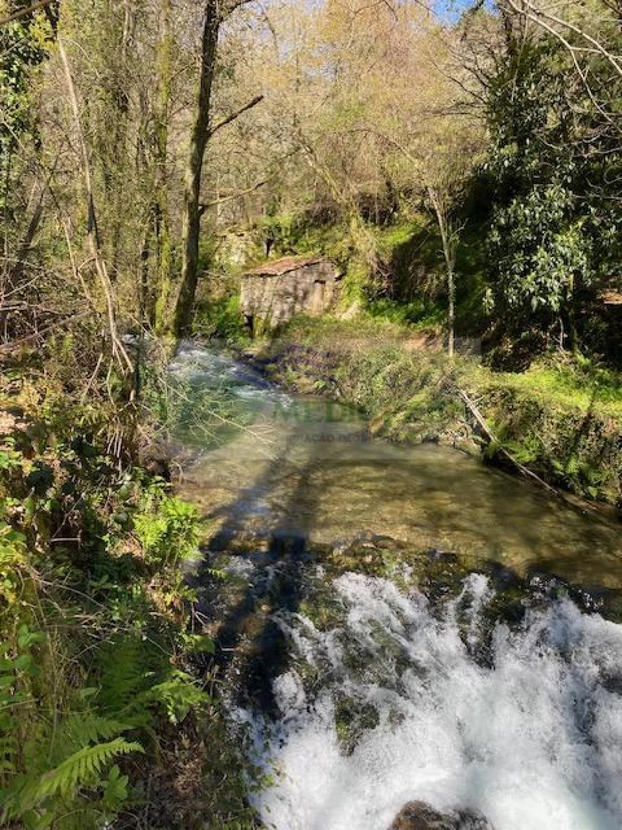 Terreno para Venda em Couto de Esteves Foto 1