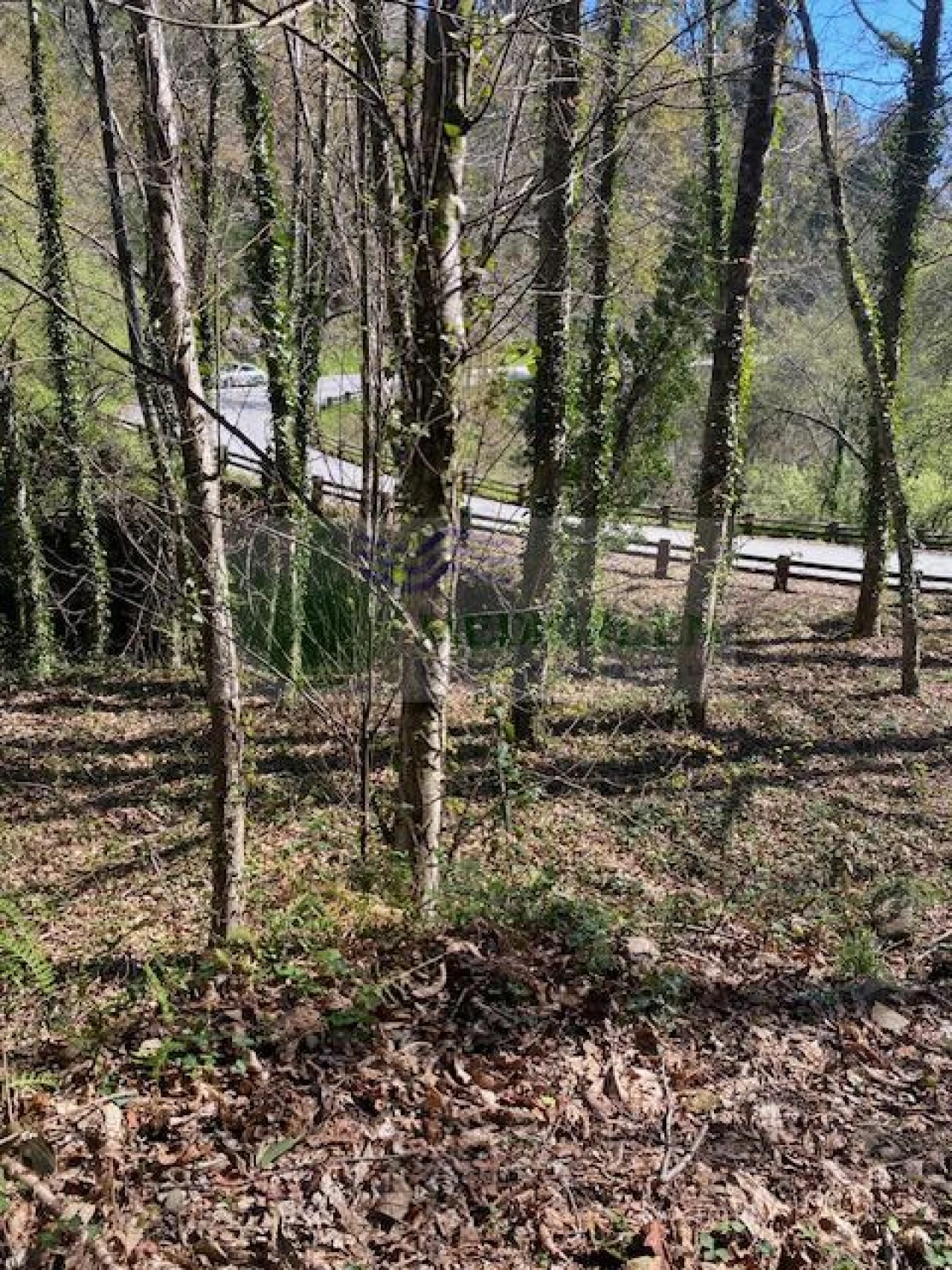 Terreno para Venda em Couto de Esteves Foto 14