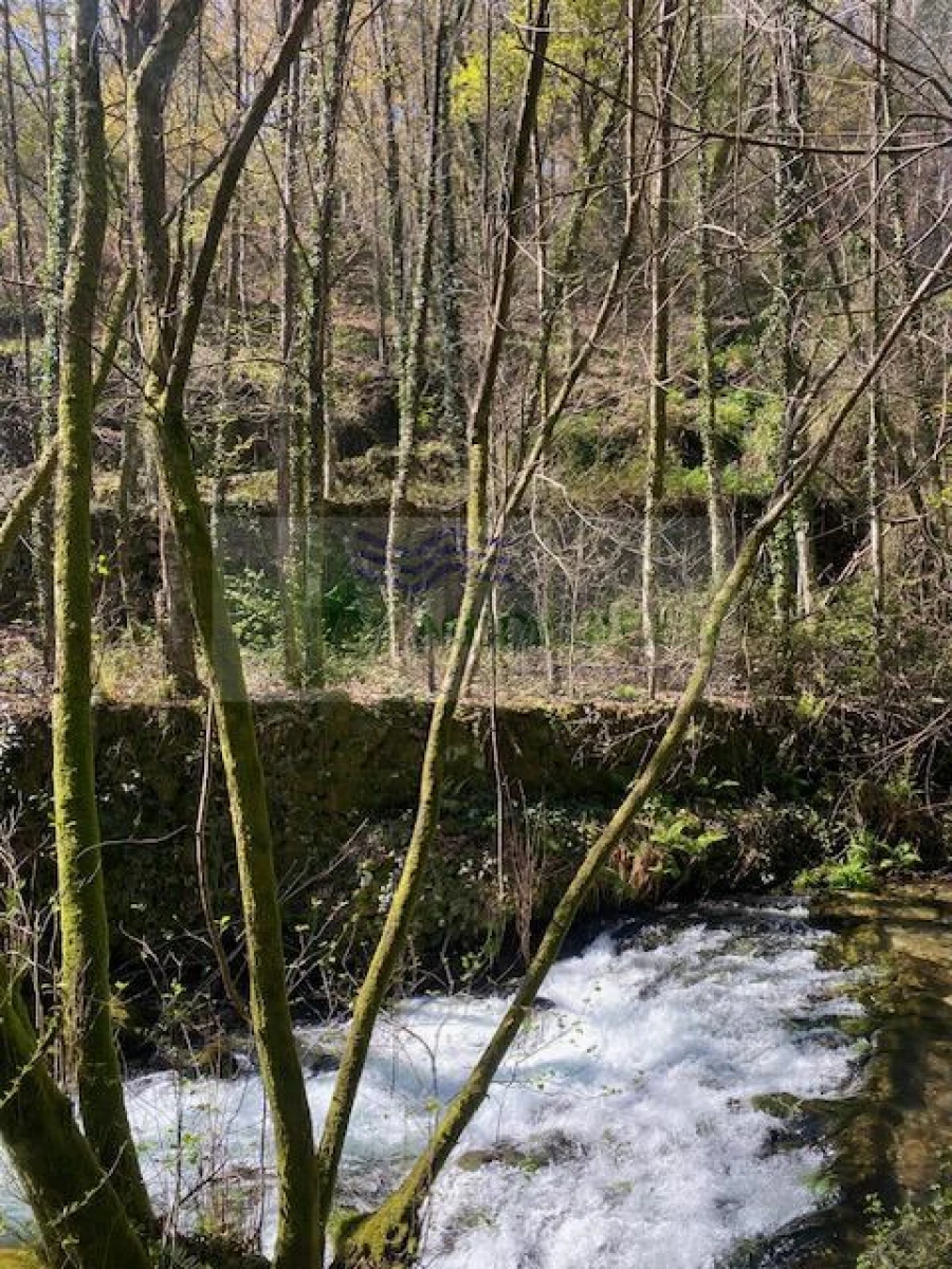 Terreno para Venda em Couto de Esteves Foto 2