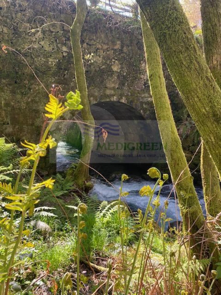 Terreno para Venda em Couto de Esteves Foto 9