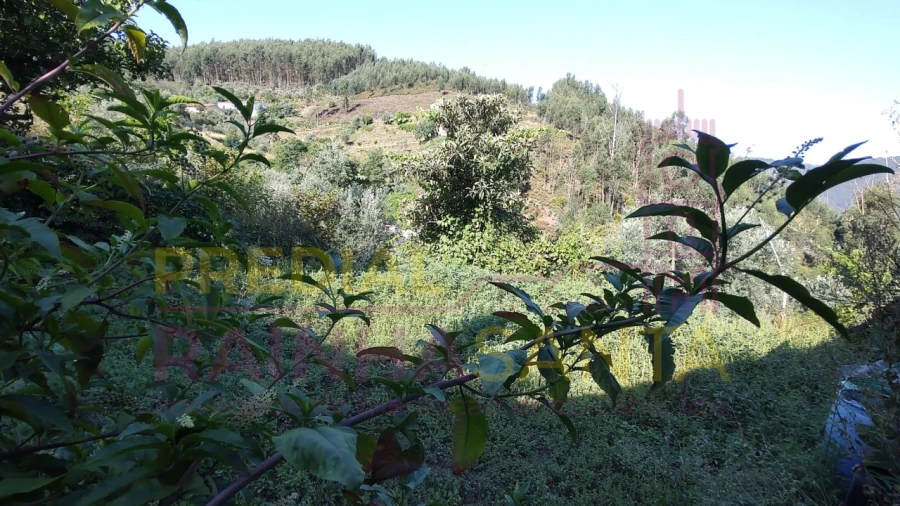 Moradia T4 para Venda em Arrifana Foto 18