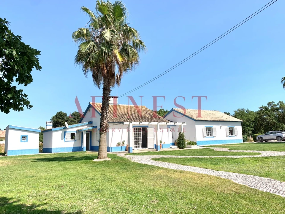 Quinta T4 para Venda em Azeitão (São Lourenço e São Simão) Foto 9