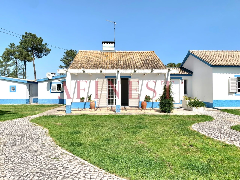 Quinta T4 para Venda em Azeitão (São Lourenço e São Simão) Foto 11