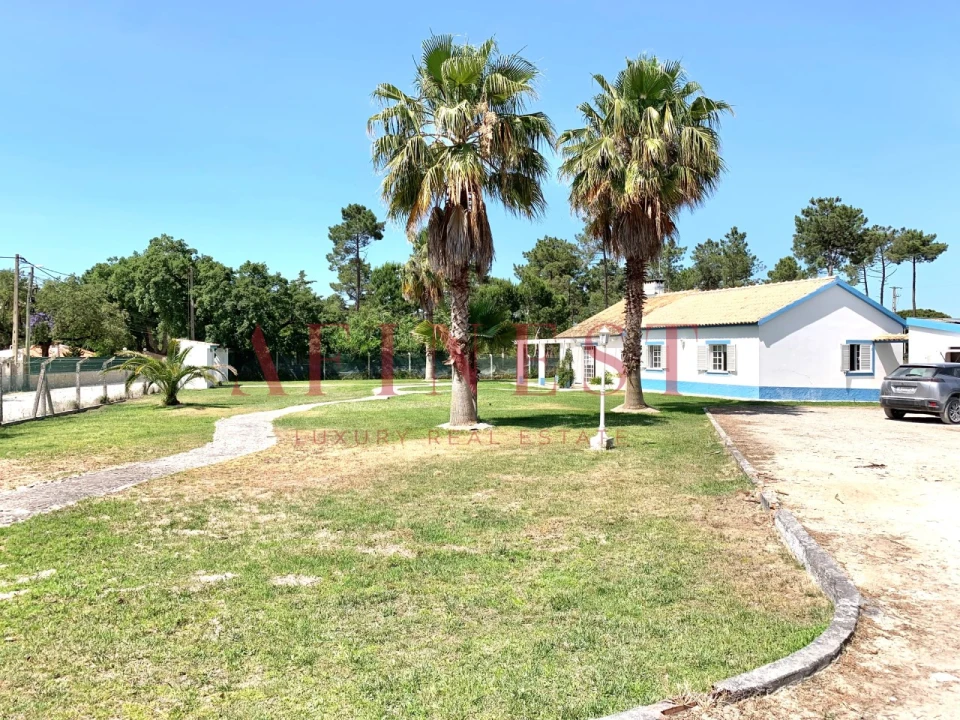 Quinta T4 para Venda em Azeitão (São Lourenço e São Simão) Foto 40