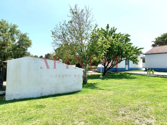 Quinta T4 para Venda em Azeitão (São Lourenço e São Simão) Foto 5