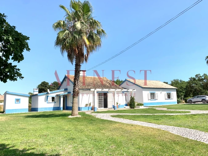 Quinta T4 para Venda em Azeitão (São Lourenço e São Simão) Foto 9