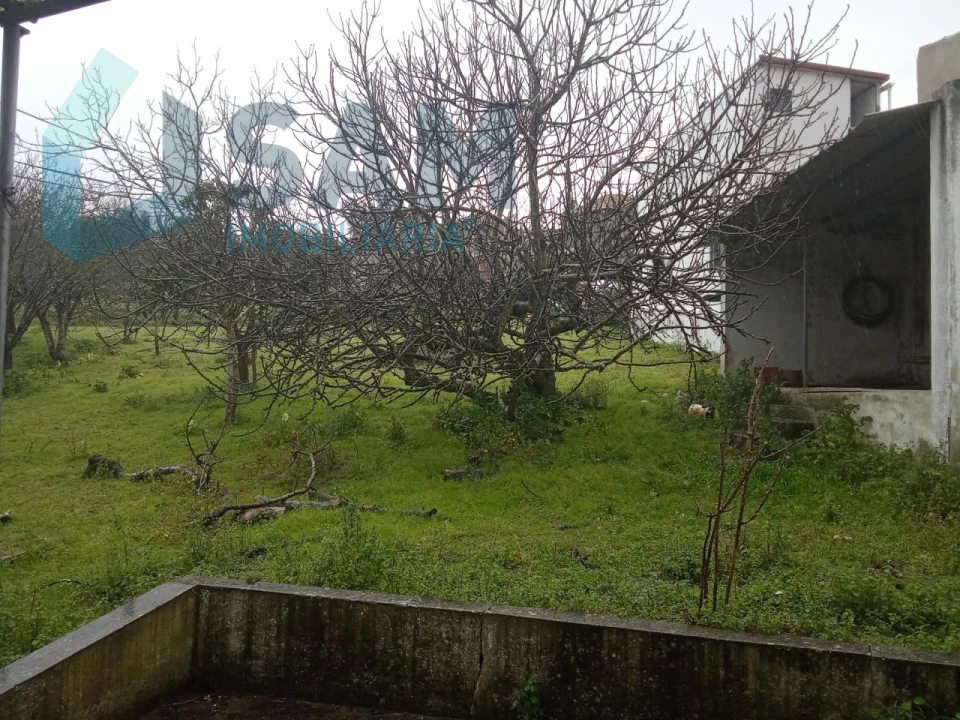 Moradia T2 para Venda em Olhalvo Foto 6