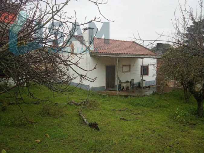 Moradia T2 para Venda em Olhalvo Foto 2