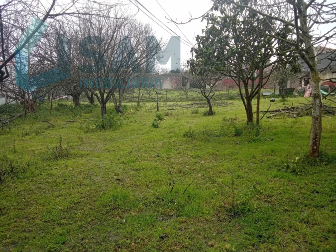 Moradia T2 para Venda em Olhalvo Foto 7