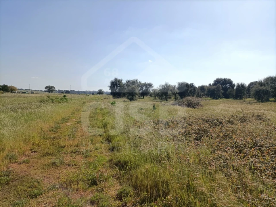 Terreno para Venda em Barrosa Foto 6