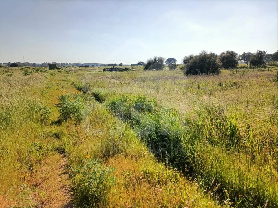 Terreno para Venda em Barrosa Foto 11