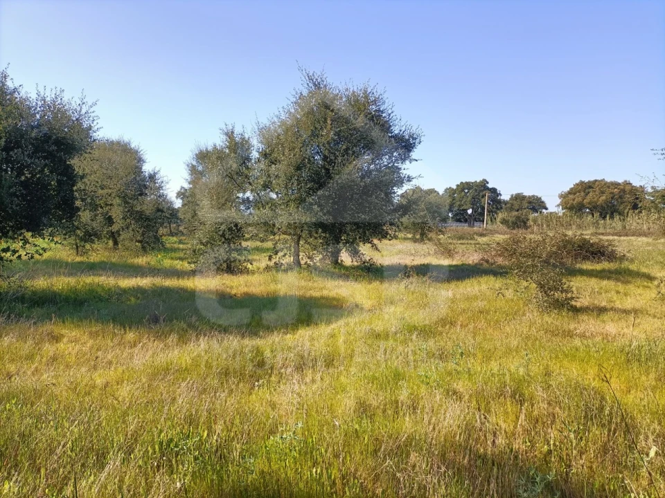 Terreno para Venda em Barrosa Foto 1