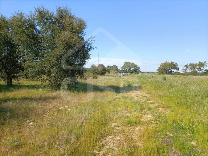 Terreno para Venda em Barrosa Foto 9