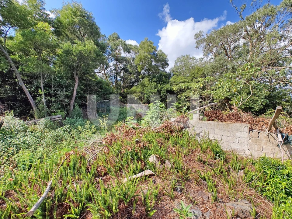 Terreno para Venda em Rabo de Peixe Foto 9