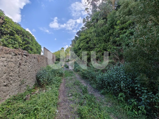 Terreno para Venda em Rabo de Peixe Foto 5