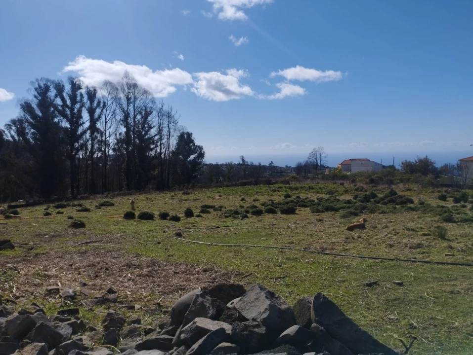 Terreno para Venda em Fajã da Ovelha Foto 9