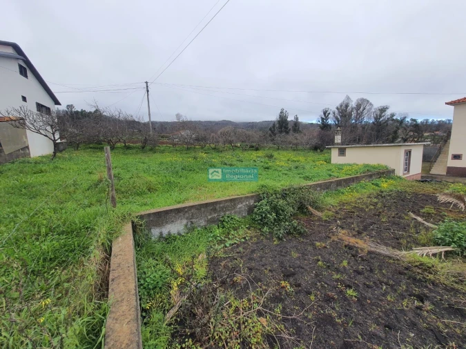 Terreno para Venda em Fajã da Ovelha Foto 2