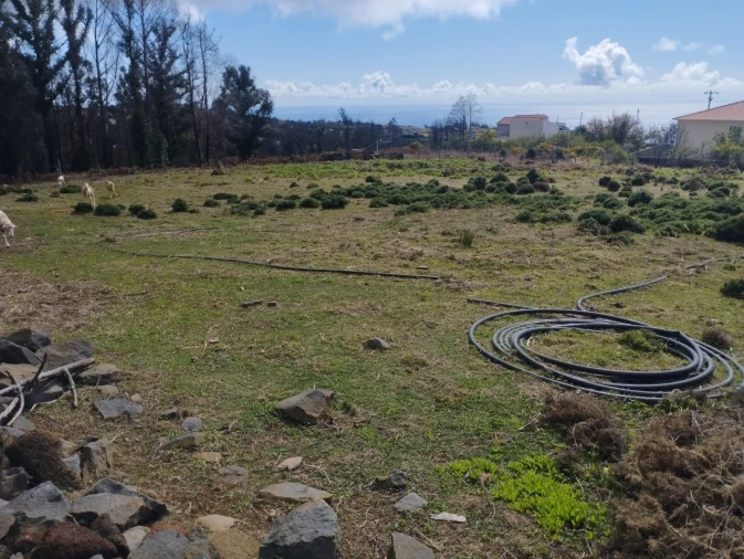 Terreno para Venda em Fajã da Ovelha Foto 8