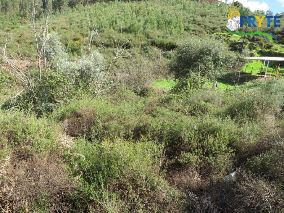 Moradia T2 para Venda em Troviscal Foto 16