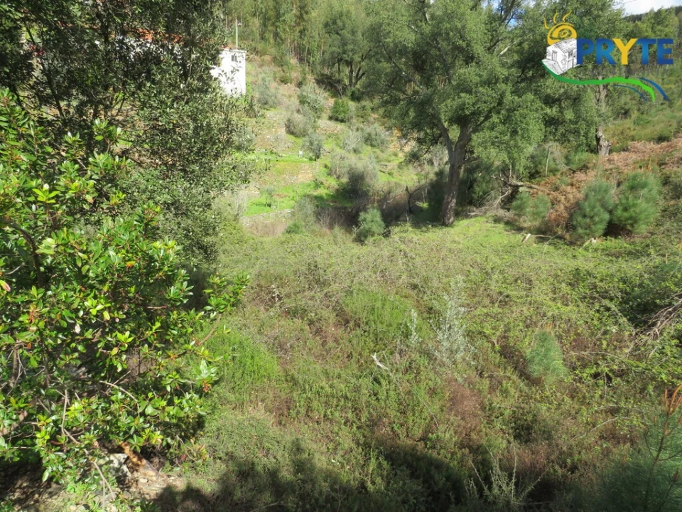 Moradia T2 para Venda em Troviscal Foto 19