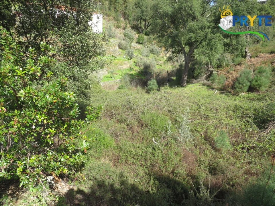 Moradia T2 para Venda em Troviscal Foto 20