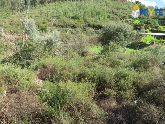 Moradia T2 para Venda em Troviscal Foto 16